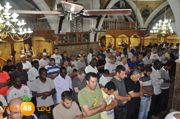 trawe7 mahmodiya 713 (22).JPG